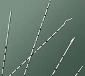 BRD 138012N BX/10 URETERAL CATHETER,POLYURETHANE
,CONE TIP W/ADAPTER,7FR X 70CM