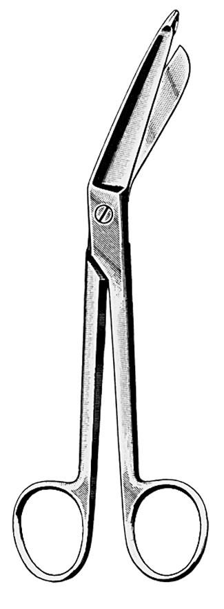 AMG 570-308 EA/1 SCISSORS LISTER BANDAGE 5 1/2"