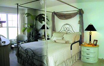 BED AJ1 CS/10 ADJUSTABLE BEDSIDE ASSISTANT***SPECIAL ORDER***