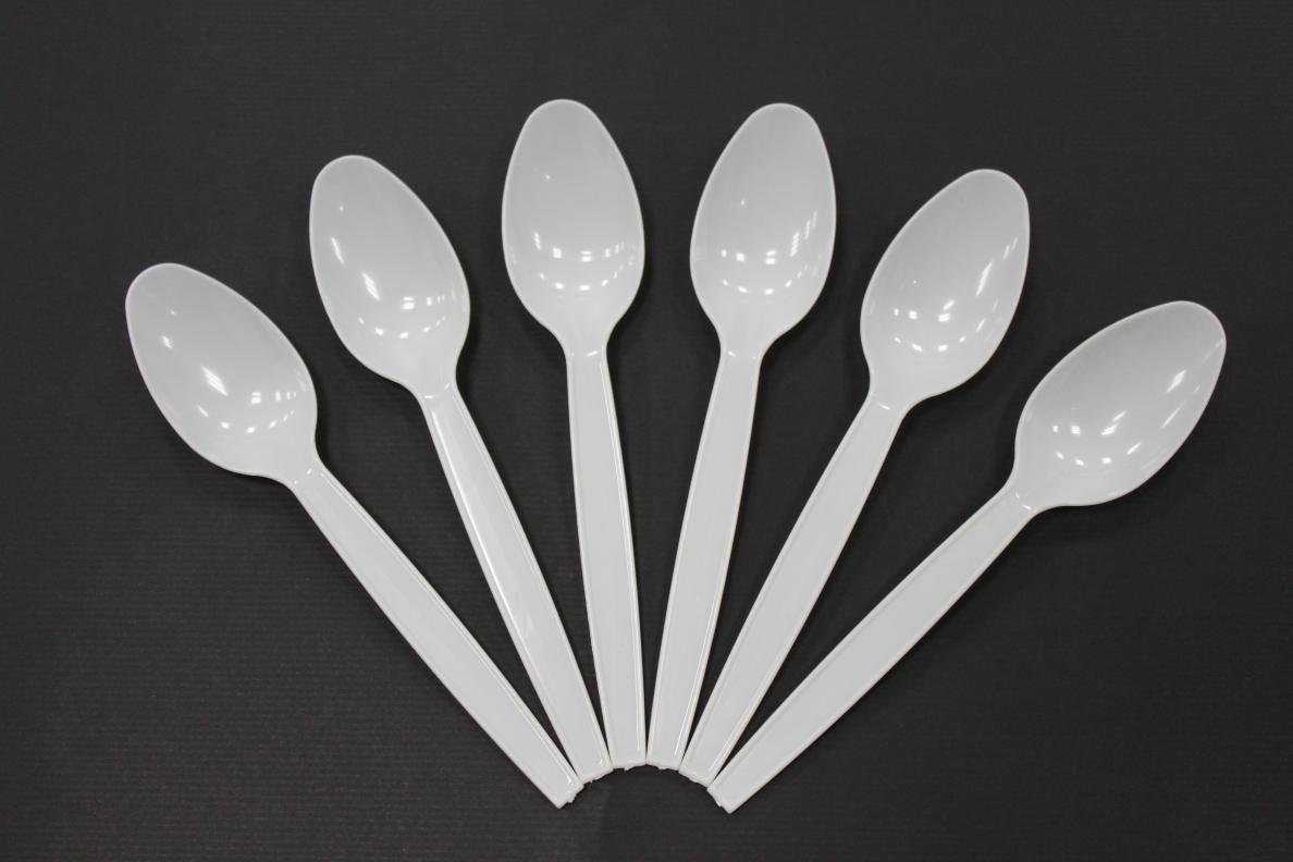 DM NON041005 CA/1000  DISPOSABLE PLASTIC SPOONS
