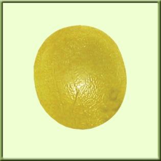 FAB 101491 EA/1 CANDO GEL HAND  EXERCISE BALL, YELLOW, EXTRA LIGHT STRENGHT