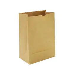 RL 68160029 CS/500 KRAFT PAPER BAG 6LB