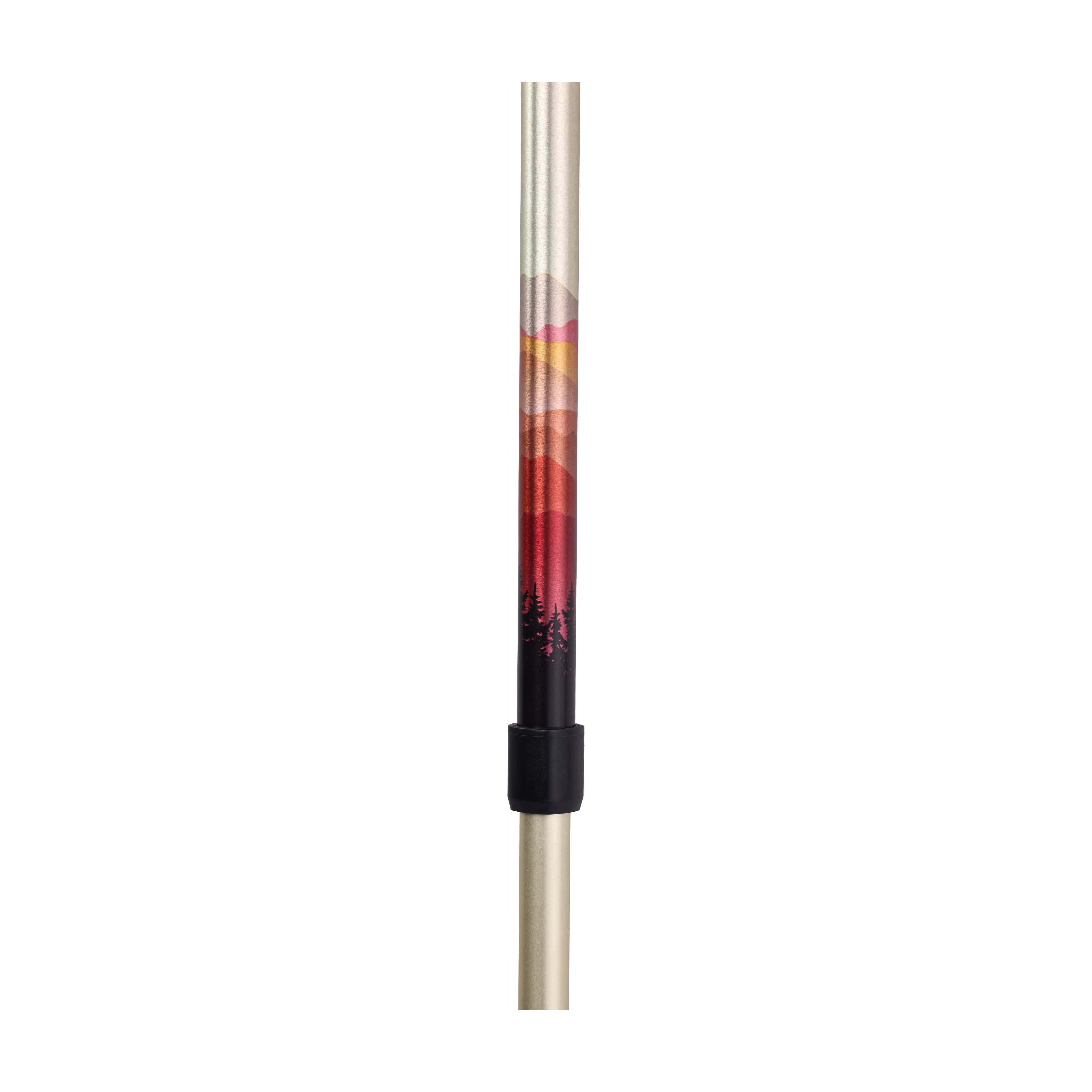 Summit Walking Poles