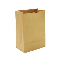 RL 68160029 CS/500 KRAFT PAPER BAG 6LB